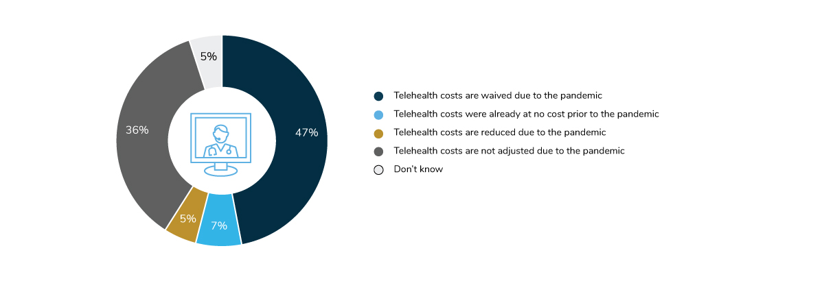 Telehealth Out-of-Pocket Cost Strategy During the Pandemic, 2021