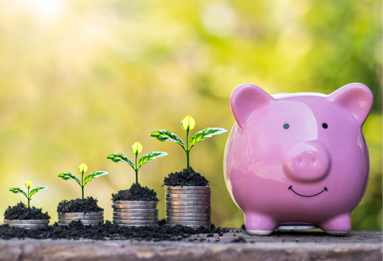 A piggy bank and stacks of coins with growing trees on top of each stack representing the concept of money growth