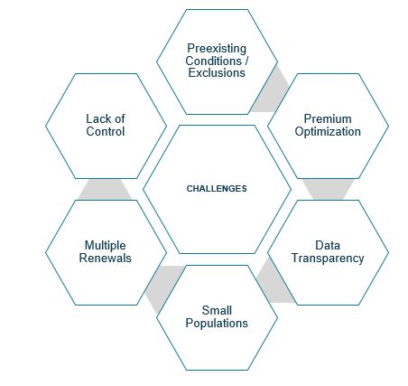 common challenges with purchasing alternatives