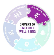 Drivers of Employee Well-being